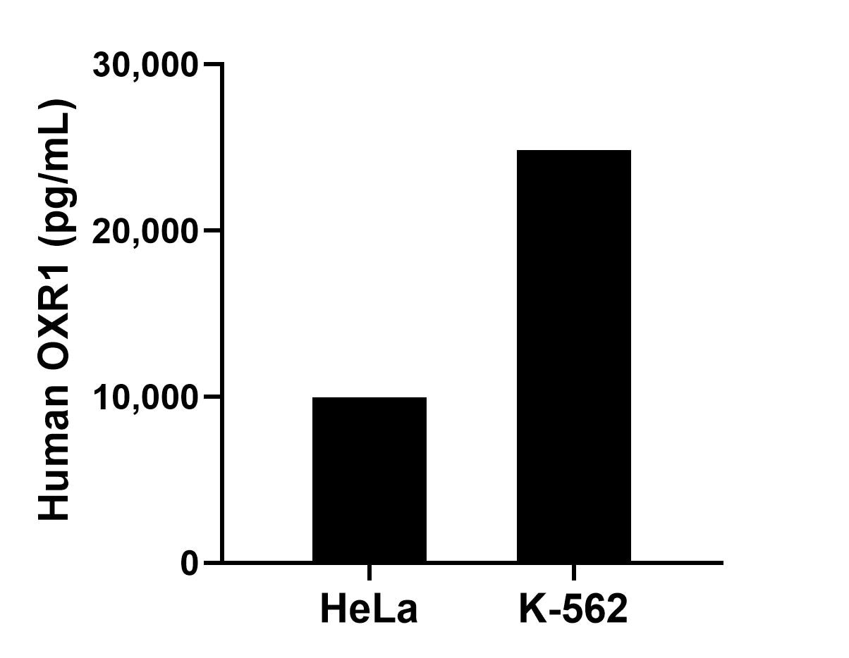 Sample test of MP02376-1