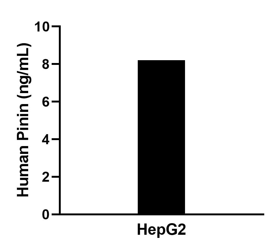 Cytometric bead array sample test of MP02380-1