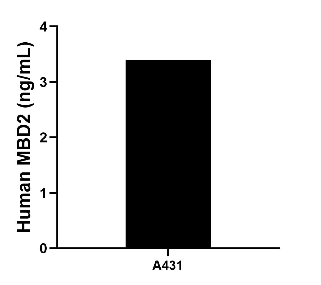 Sample test of MP02387-1