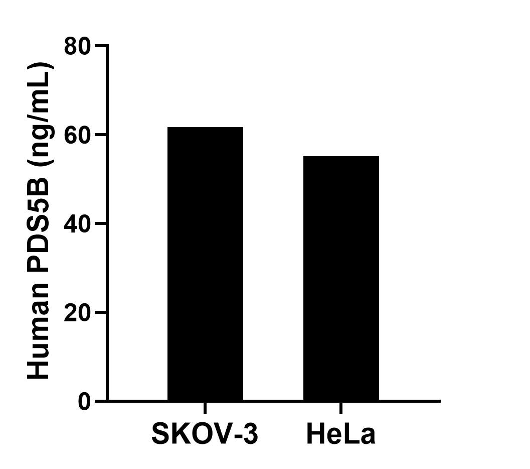Sandwich ELISA sample test of MP02392-1