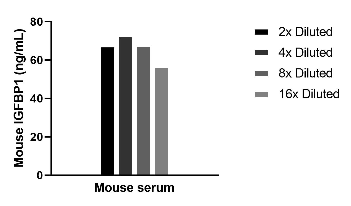 The mean IGFBP1 concentration was determined to be 66.2 ng/mL in mouse serum. The mean IGFBP1 concentration was determined to be 66.2 ng/mL in mouse serum.