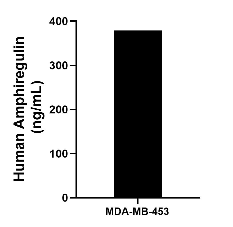 Sandwich ELISA sample test of MP02406-2