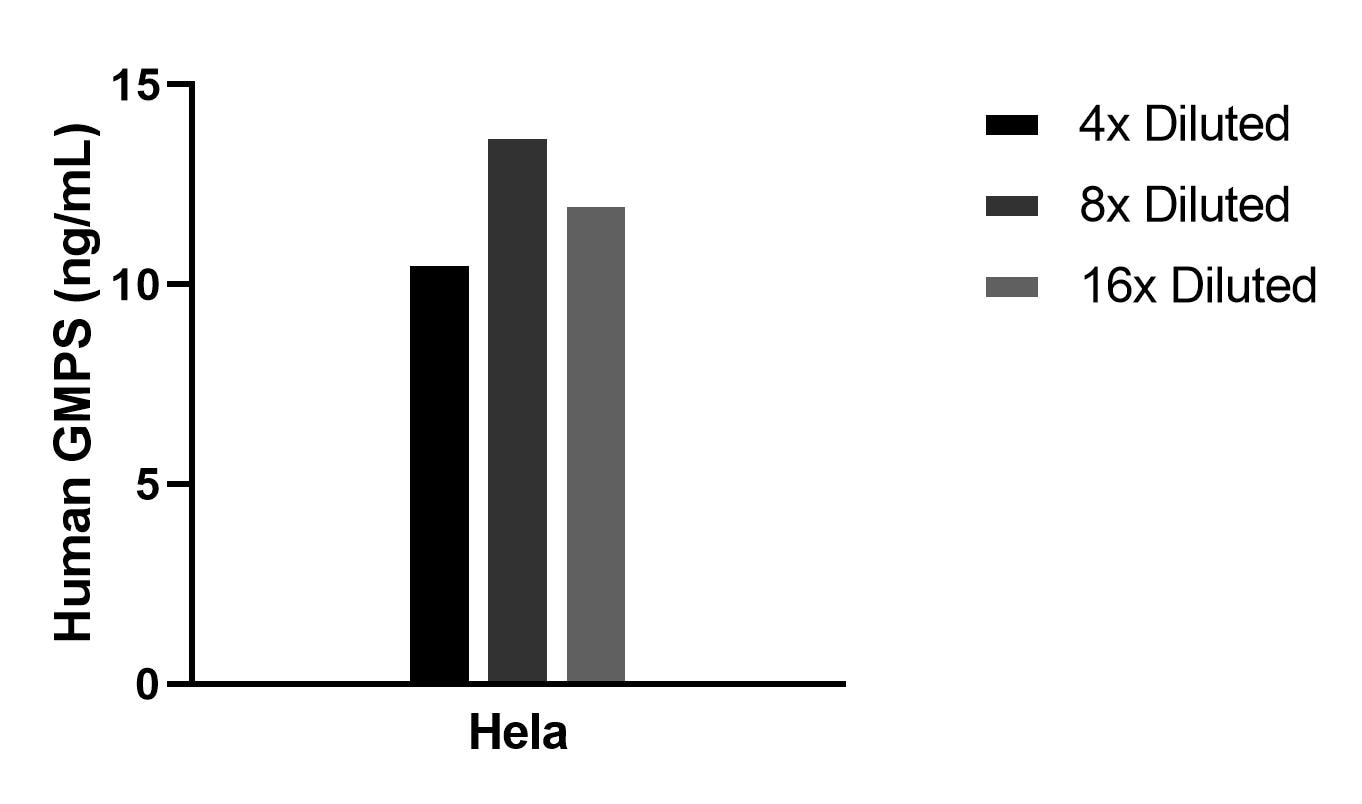 Cytometric bead array sample test of MP02408-1