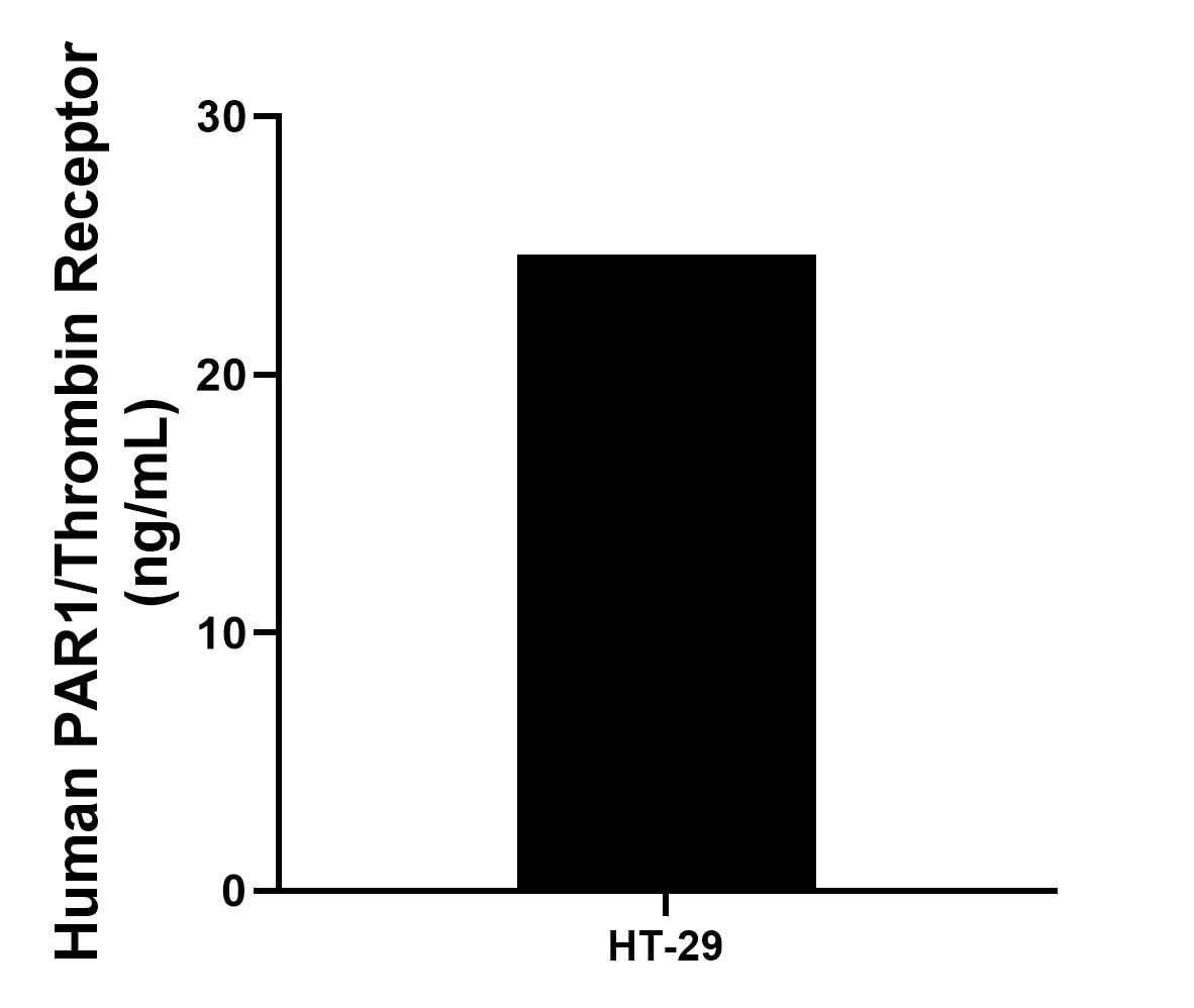 The mean PAR1/Thrombin Receptor concentration was determined to be 24.63 ng/mL in HT-29 cell extract based on a 1.5 mg/mL extract load.