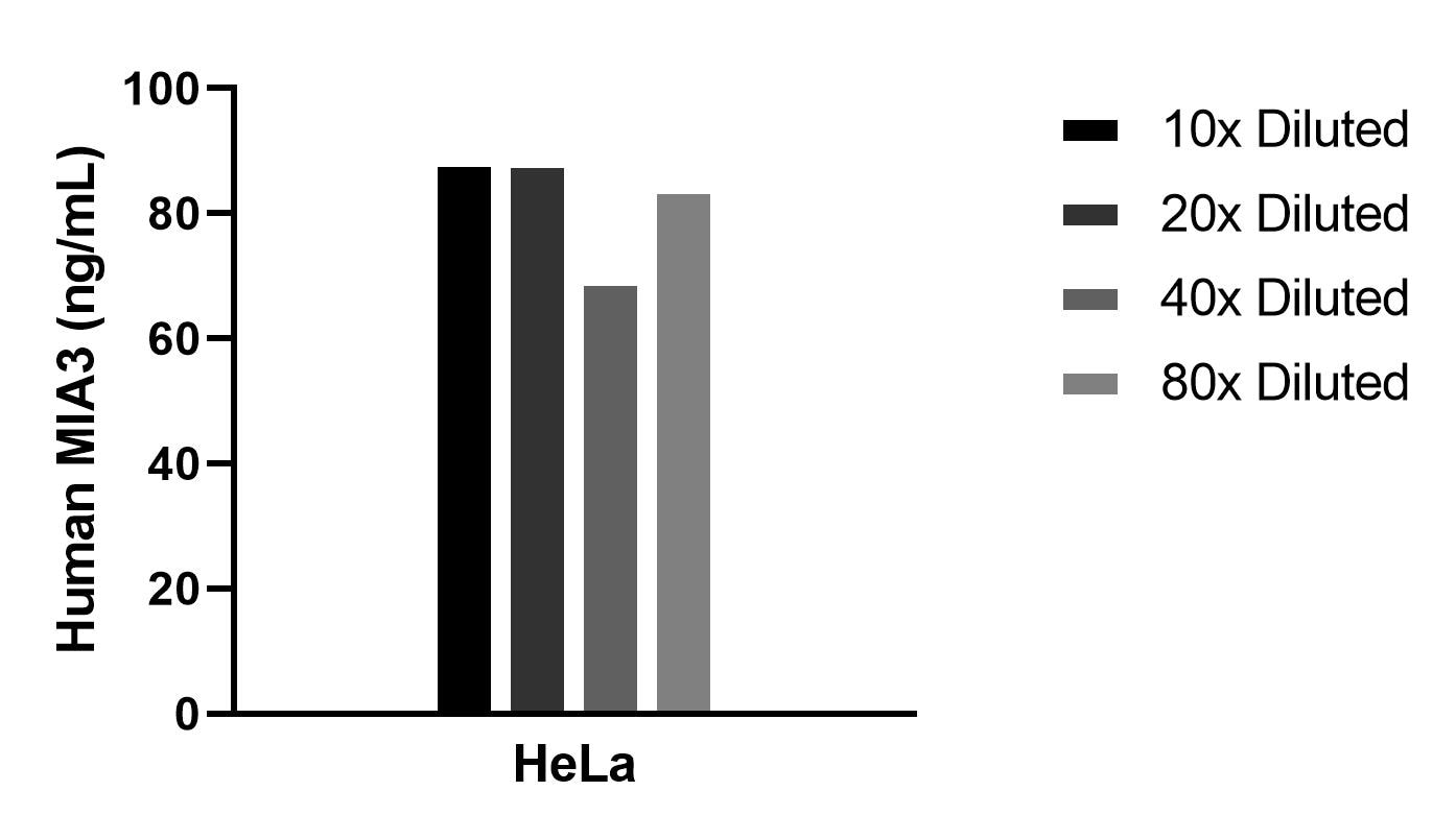 The mean MIA3 concentration was determined to be 82.5 ng/mL in Hela cell extract based on a 1.2 mg/mL extract load. Cytometric bead array sample test of MP02435-1