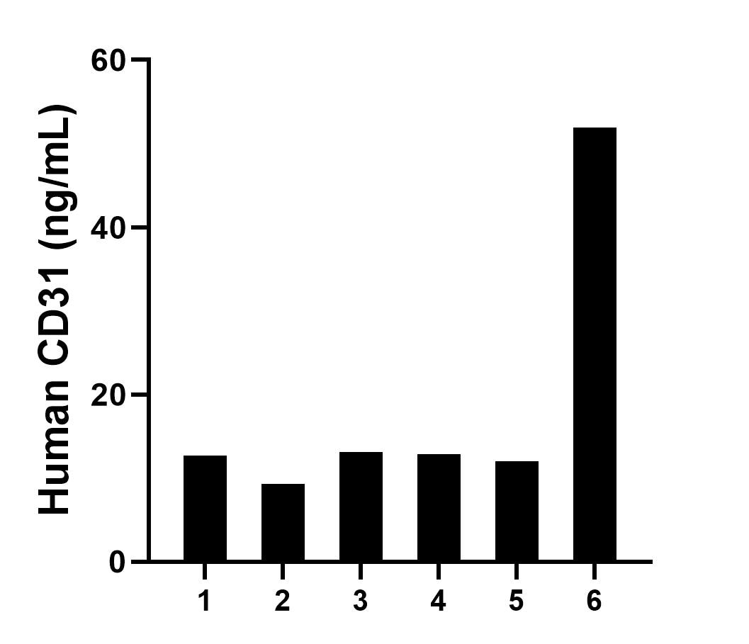 Plasma of six individual healthy human donors was measured. The human CD31 concentration of detected samples was determined to be 18.66 ng/mL with a range of 9.29 - 51.94 ng/mL.