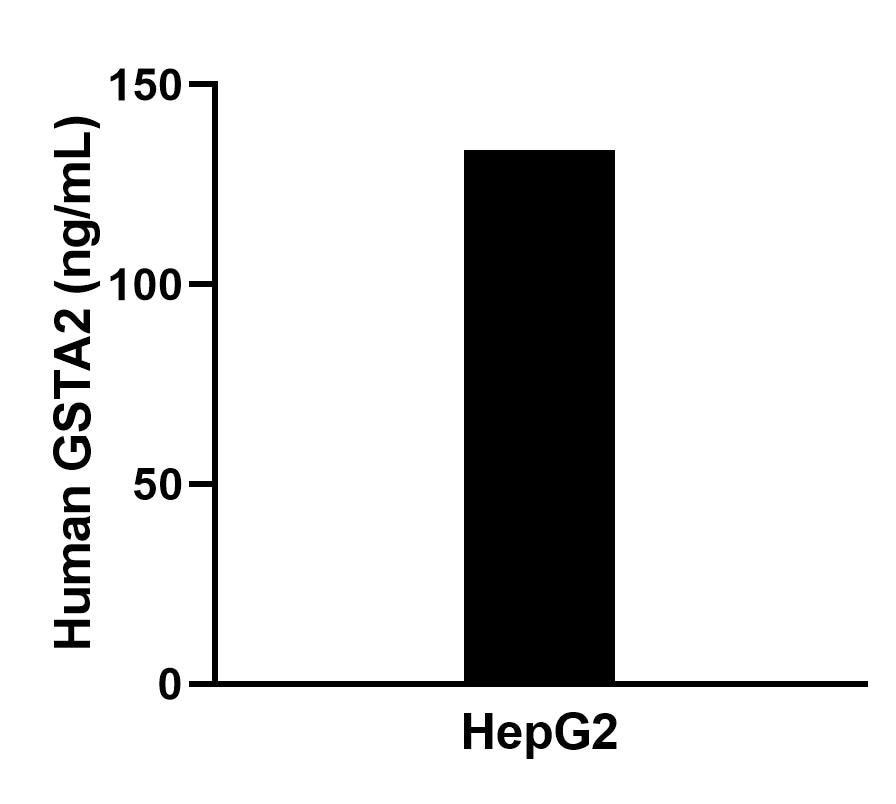 The mean GSTA2 concentration was determined to be 135.2 ng/mL in HepG2 cell extract based on a 1.1 mg/mL extract load.