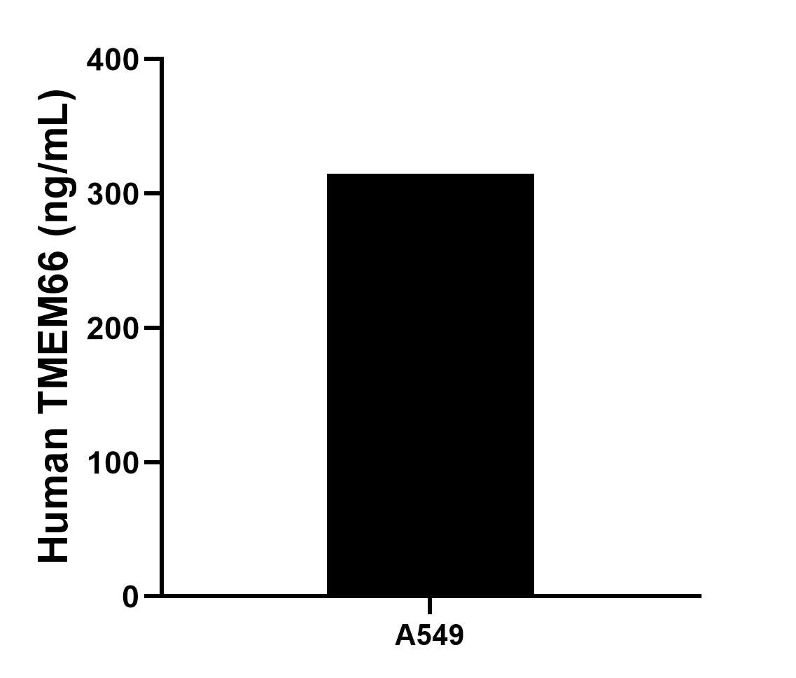 Sandwich ELISA sample test of MP02452-1 Sandwich ELISA sample test of MP02452-1