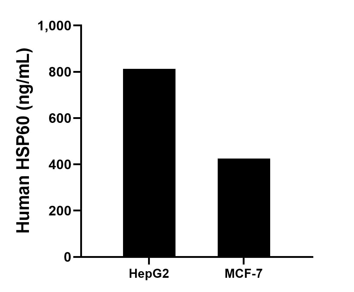 The mean TMEM66 concentration was determined to be 813.56 ng/mL in HepG2 cell extract based on a 1.1 mg/mL extract load and 425.61 ng/mL in MCF-7 cell extract based on a 1.2 mg/mL extract load.	