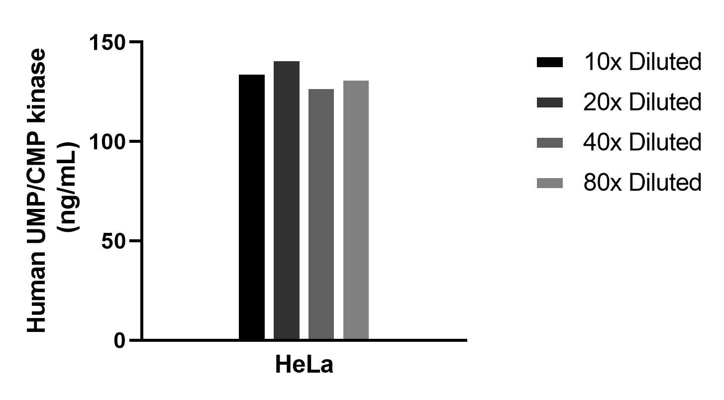 Cytometric bead array sample test of MP02460-1