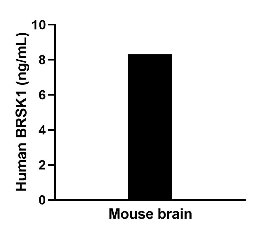 Sample test of MP02463-1
