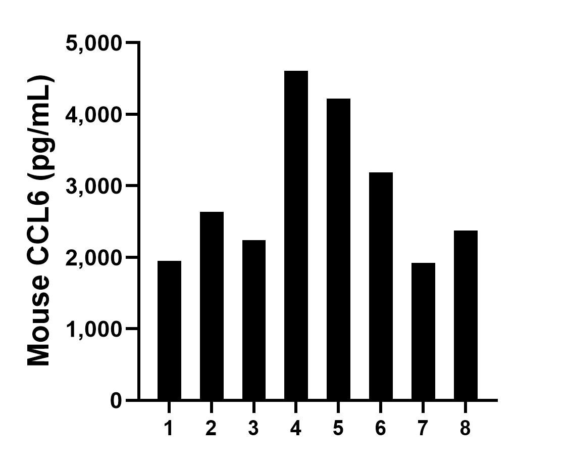 Serum of eight mice was measured. The mouse CCL6 concentration of detected samples was determined to be 2,892.9 pg/mL with a range of 1,924.1 - 4,606.3 pg/mL. Sandwich ELISA sample test of MP02473-1