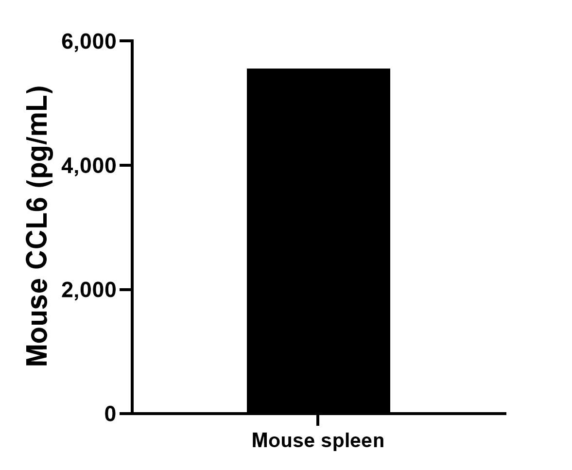 The mean CCL6 concentration was determined to be 5,558.1 pg/mL in mouse spleen tissue extract based on a 8.4 mg/mL extract load. Sandwich ELISA sample test of MP02473-1
