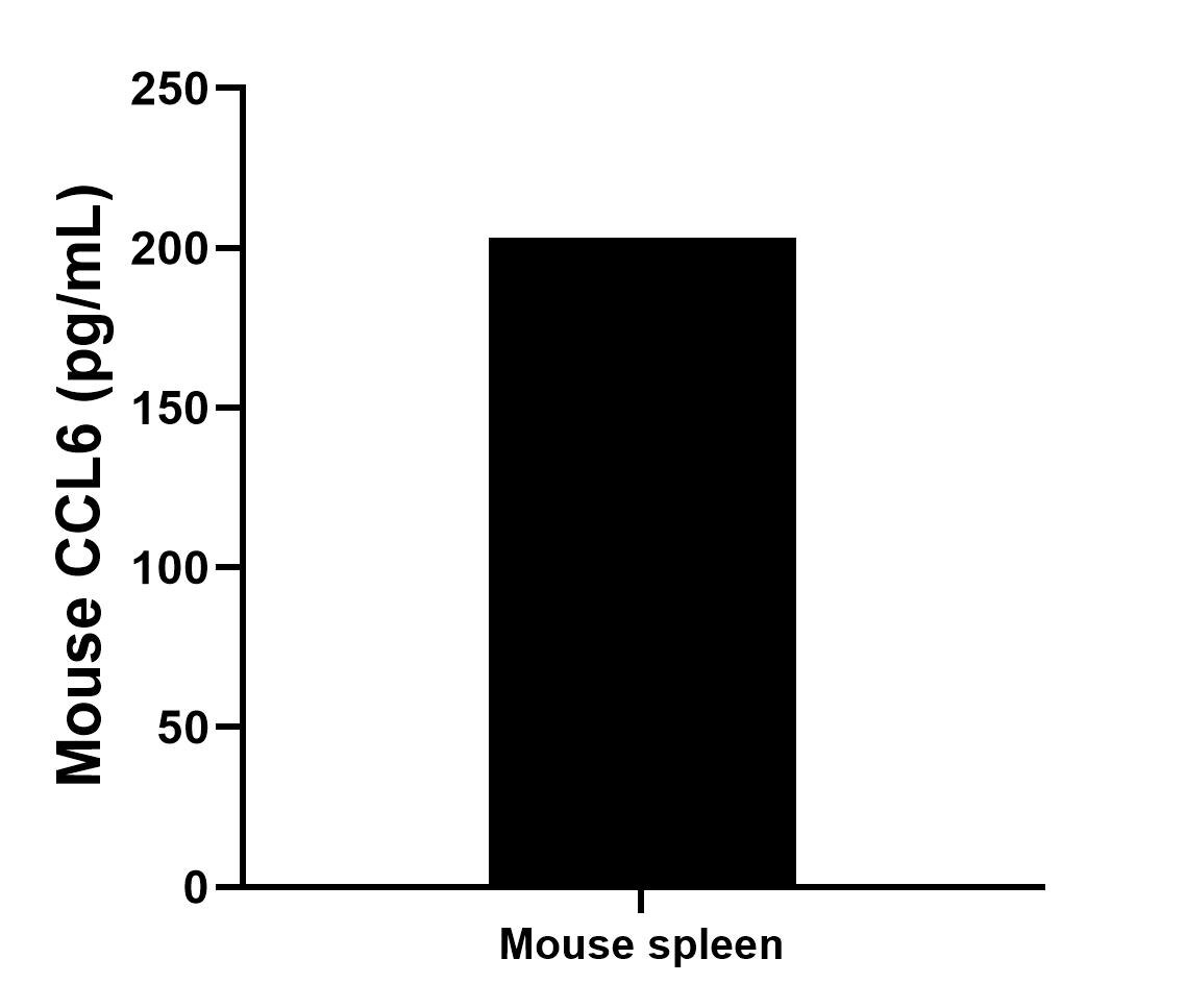 Mouse spleen tissue (2 spleens in 1-2 mm pieces in 100 mL of medium) was cultured for 3 days in RPMI supplemented with 10% fetal bovine serum, 5 μM β-mercaptoethanol, 2 mM L-glutamine, 100 U/mL penicillin, and 100 μg/mL streptomycin sulfate. An aliquot of the cell culture supernate was removed, assayed for mouse CCL6, and measured 203.2 pg/mL. Sandwich ELISA sample test of MP02473-1