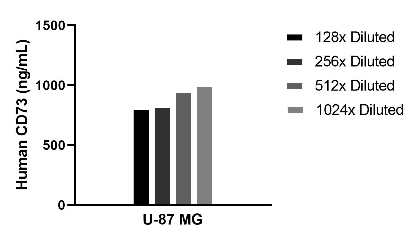 The mean CD73 concentration was determined to be 895.3 ng/mL in U-87 MG cell extract based on a 1.5 mg/mL extract load.