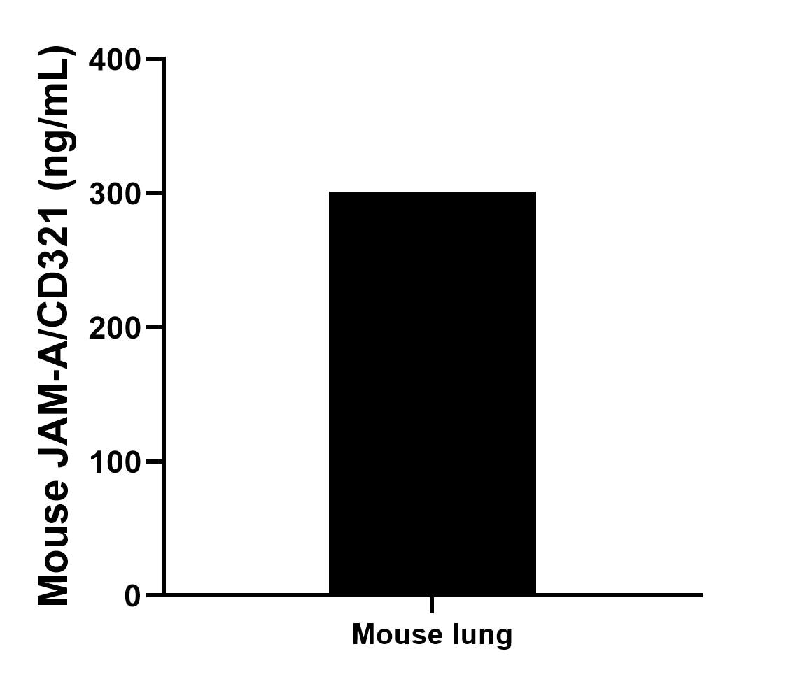 The mean JAM-A/CD321 concentration was determined to be 301.19 ng/mL in mouse lung tissue extract based on a 5.3 mg/mL extract load. The mean JAM-A/CD321 concentration was determined to be 301.19 ng/mL in mouse lung tissue extract based on a 5.3 mg/mL extract load.