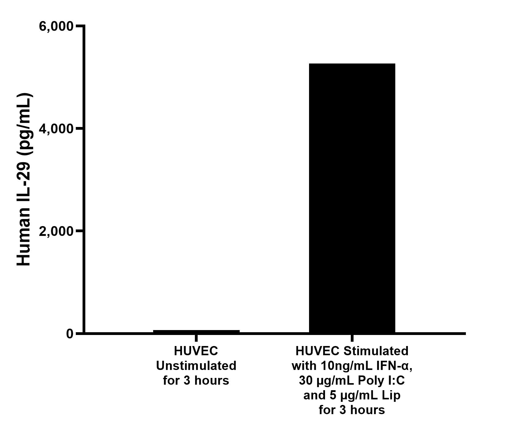 HUVEC human umbilical vein endothelial cells (1 x 10^6 cells/mL) were seeded in Endothelial Cell Medium (ECM) supplemented, and stimulated with 10 ng/mL IFN-α, 30 µg/mL Poly I:C and 5 µg/mL Lip for 3 hours. The mean IL-29 concentration was determined to be 69.1 pg/mL in unstimulated HUVEC supernatant, 5,268.2 pg/mL in stimulated HUVEC supernatant. HUVEC human umbilical vein endothelial cells (1 x 10^6 cells/mL) were seeded in Endothelial Cell Medium (ECM) supplemented, and stimulated with 10 ng/mL IFN-α, 30 µg/mL Poly I:C and 5 µg/mL Lip for 3 hours. The mean IL-29 concentration was determined to be 69.1 pg/mL in unstimulated HUVEC supernatant, 5,268.2 pg/mL in stimulated HUVEC supernatant.