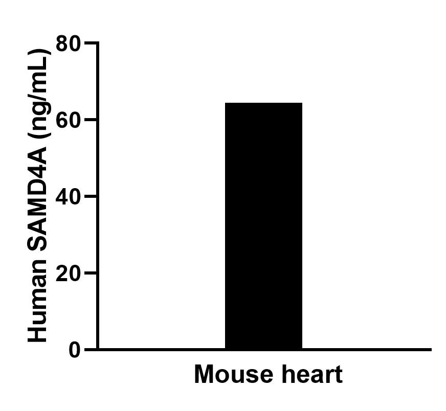 Sample test of MP02498-1