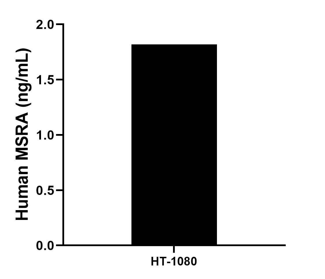 Sandwich ELISA sample test of MP02504-1
