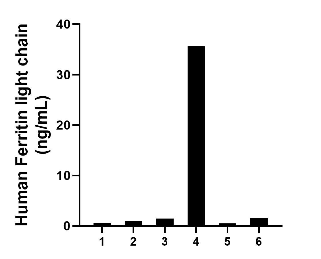 Sandwich ELISA sample test of MP02505-1 Sandwich ELISA sample test of MP02505-1