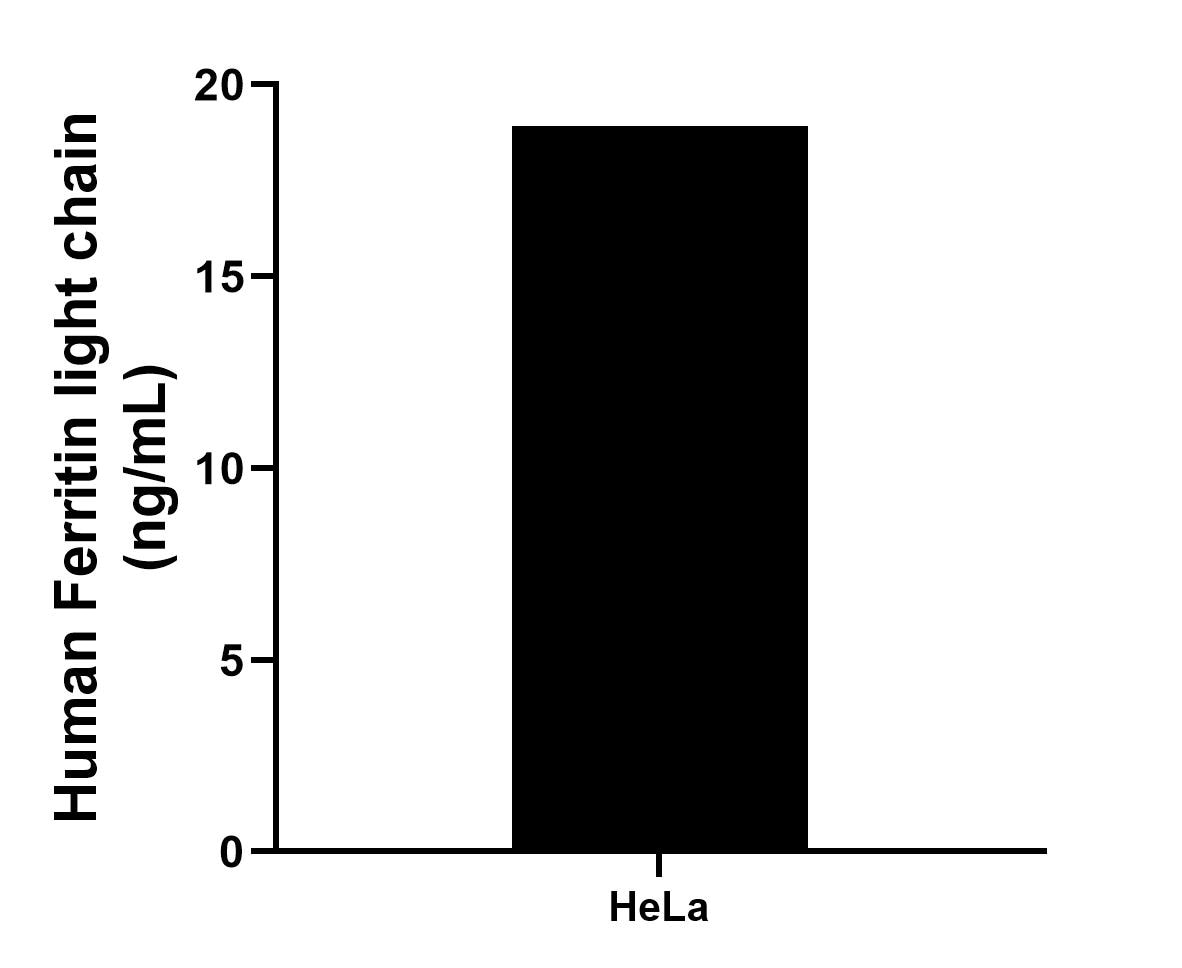 Sandwich ELISA sample test of MP02505-1 Sandwich ELISA sample test of MP02505-1
