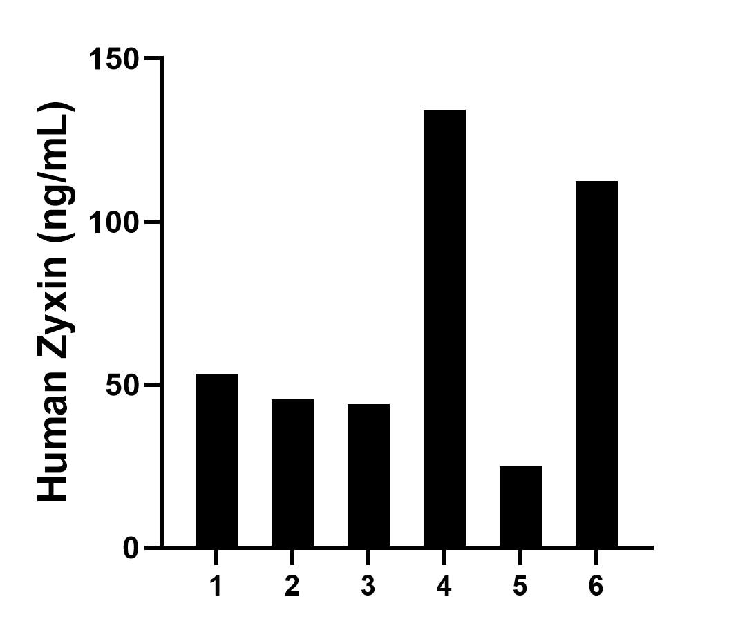 Sandwich ELISA sample test of MP02506-1