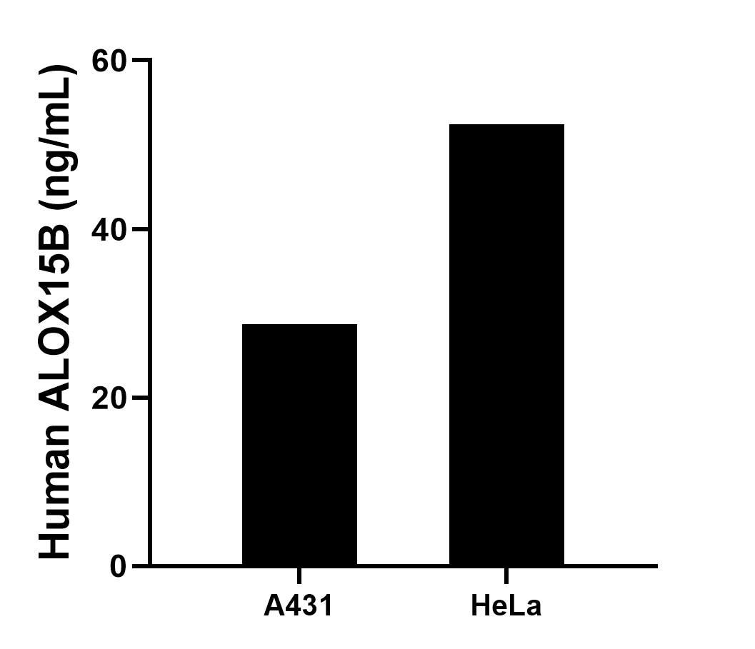 Sample test of MP02510-1
