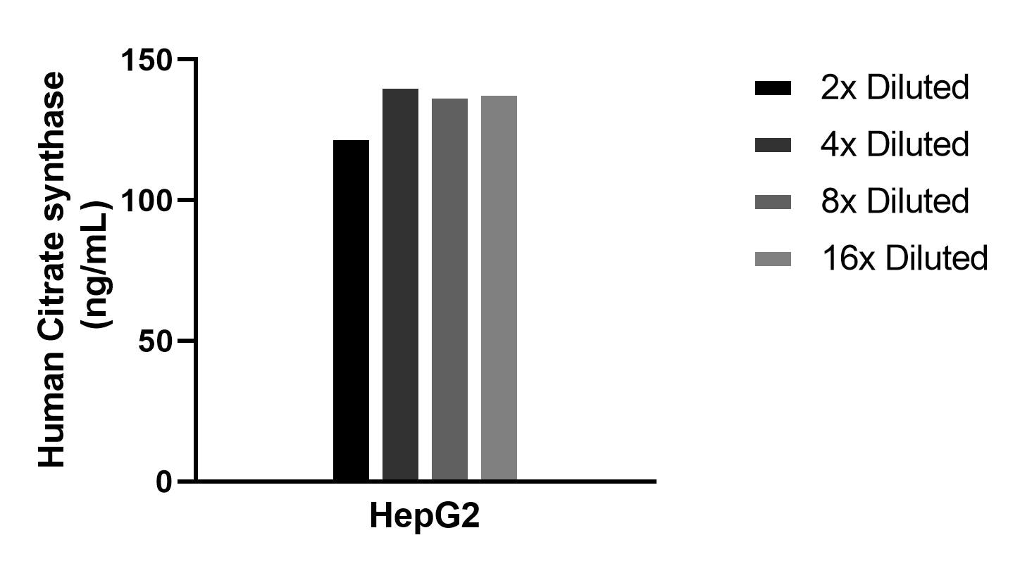 The mean Citrate synthase concentration was determined to be 135.1 ng/mL in HepG2 cell extract based on a 1.3 mg/mL extract load. 