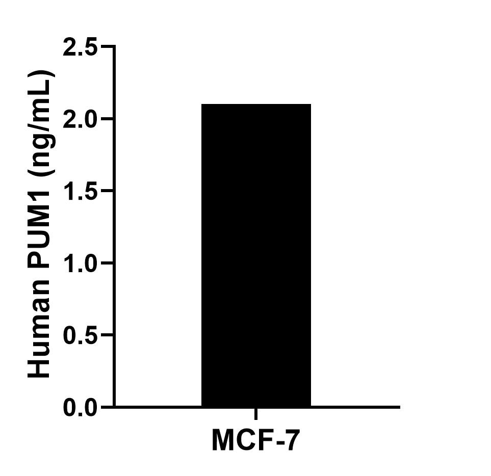 Sample test of MP02520-1