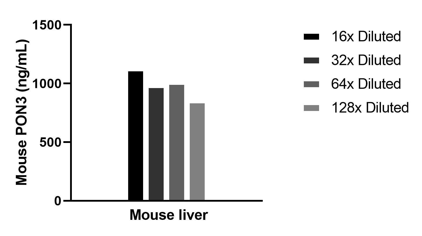 Cytometric bead array sample test of MP02543-1