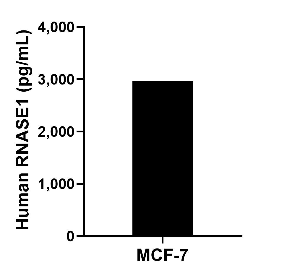 The mean RNASE1 concentration was determined to be 2,974.4 pg/mL in MCF-7 cell extract based on a 1.3 mg/mL extract load. The mean RNASE1 concentration was determined to be 2,974.4 pg/mL in MCF-7 cell extract based on a 1.3 mg/mL extract load.