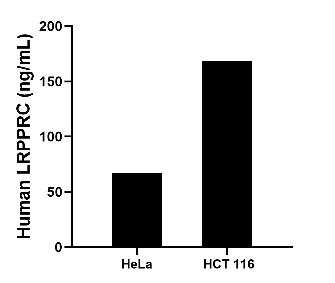 The mean LRPPRC concentration was determined to be 67.2 ng/mL in HeLa cell extract based on a 1.1 mg/mL extract load, 168.4 ng/mL in HCT 116 cell extract based on a 1.3 mg/mL extract load.