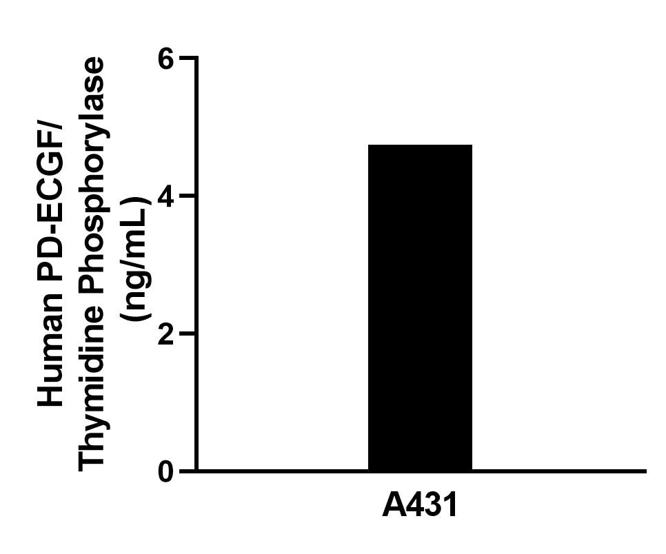 The mean PD-ECGF/Thymidine Phosphorylase concentration was determined to be 4.8 ng/mL in A431 cell extract based on a 1.2 mg/mL extract load. The mean PD-ECGF/Thymidine Phosphorylase concentration was determined to be 4.8 ng/mL in A431 cell extract based on a 1.2 mg/mL extract load.