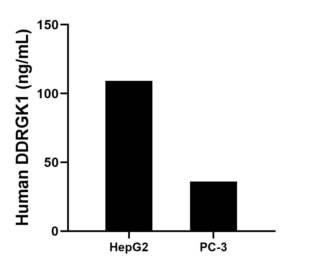 Cytometric bead array sample test of MP02579-1