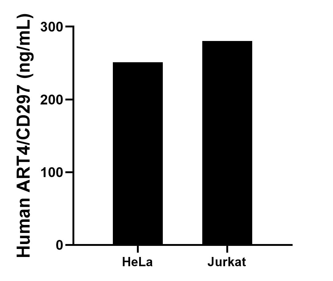 The mean ART4/CD297 concentration was determined to be 251.26 ng/mL in HeLa cell extract based on a 1.20 mg/mL extract load and 280.28 ng/mL in Jurkat cell extract based on a 1.20 mg/mL extract load. 
