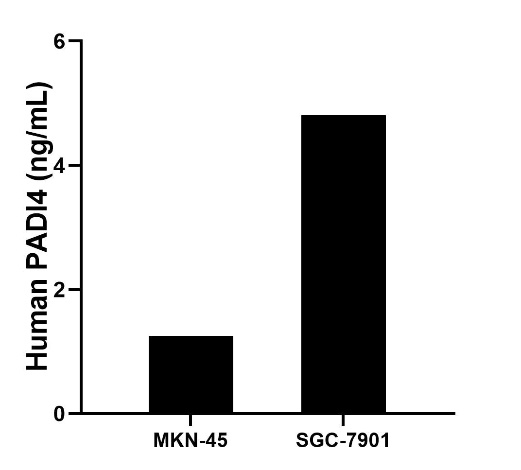 Sandwich ELISA sample test of MP02590-1