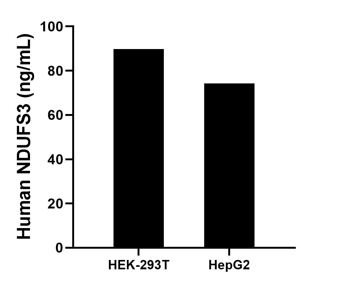 Cytometric bead array sample test of MP02593-1