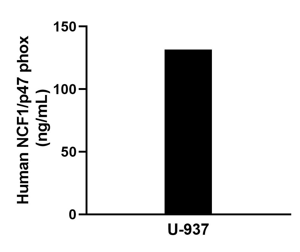 Cytometric bead array sample test of MP02620-1
