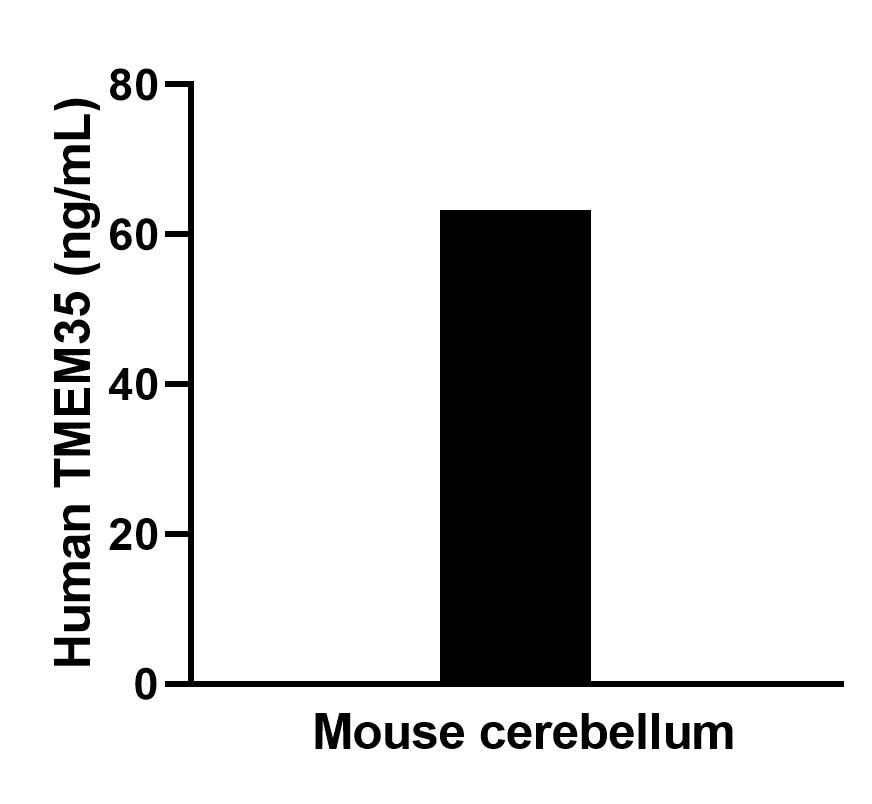Cytometric bead array sample test of MP02630-1