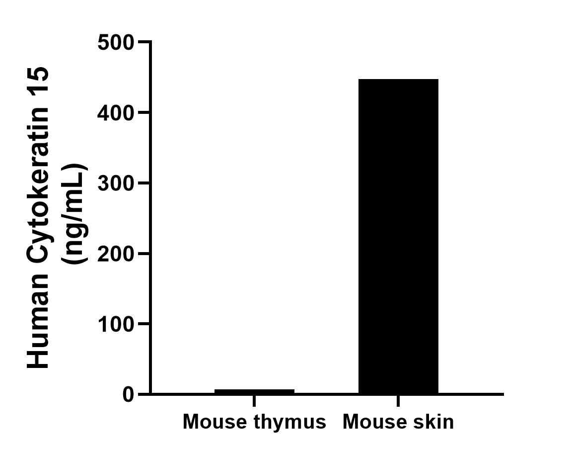 Sample test of MP02654-1