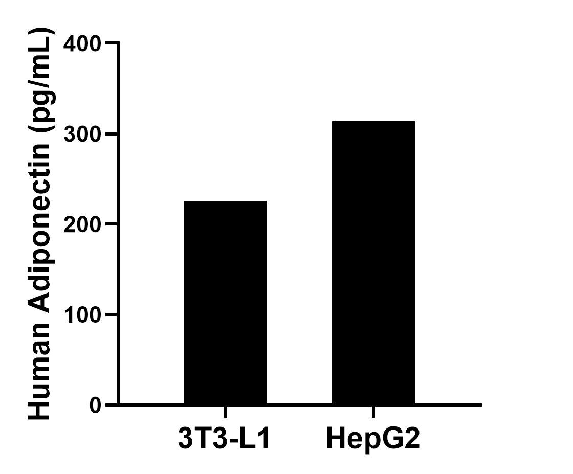 Sample test of MP50050-1