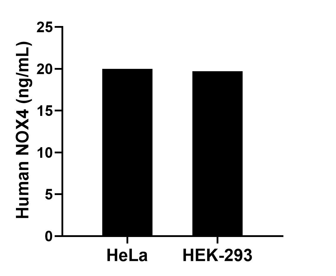 Sample test of MP51046-1