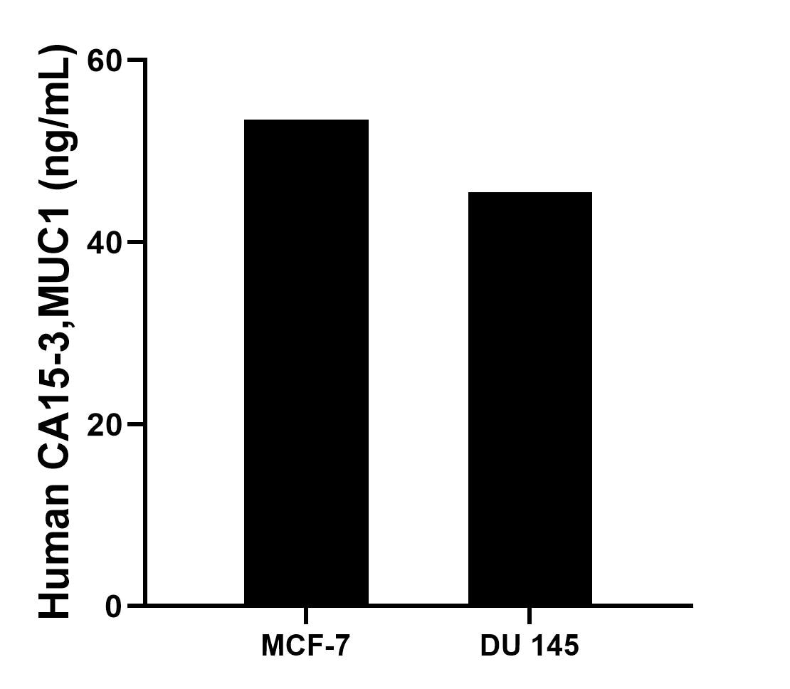 The mean CA15-3,MUC1 concentration was determined to be 53.46 ng/mL in MCF-7 cell extract based on a 1.3 mg/mL extract load and 45.49 ng/mL in DU 145 cell extract based on a 2.0 mg/mL extract load.		