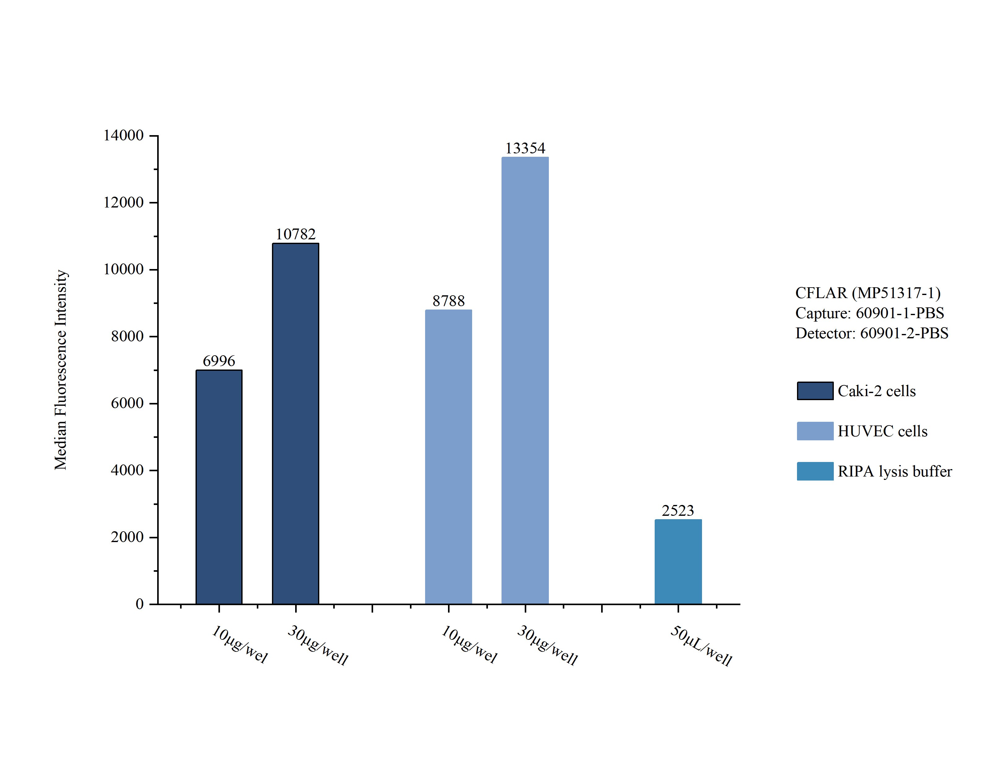Sample test of MP51317-1, CFLAR Monoclonal Matched Antibody Pair, PBS Only. Capture antibody: 60901-1-PBS. Detection antibody: 60901-2-PBS. 