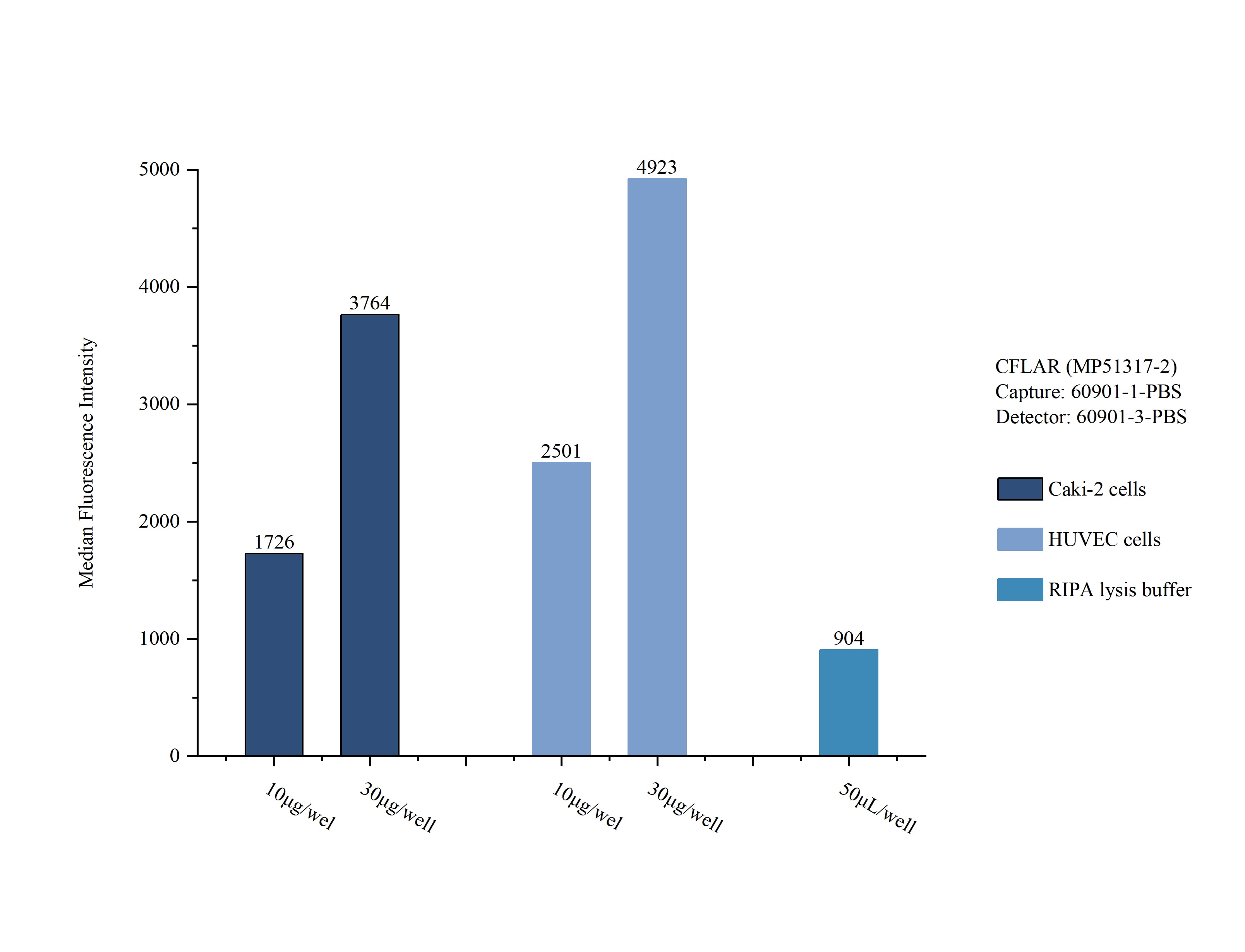 Sample test of MP51317-2, CFLAR Monoclonal Matched Antibody Pair, PBS Only. Capture antibody: 60901-1-PBS. Detection antibody: 60901-3-PBS. 