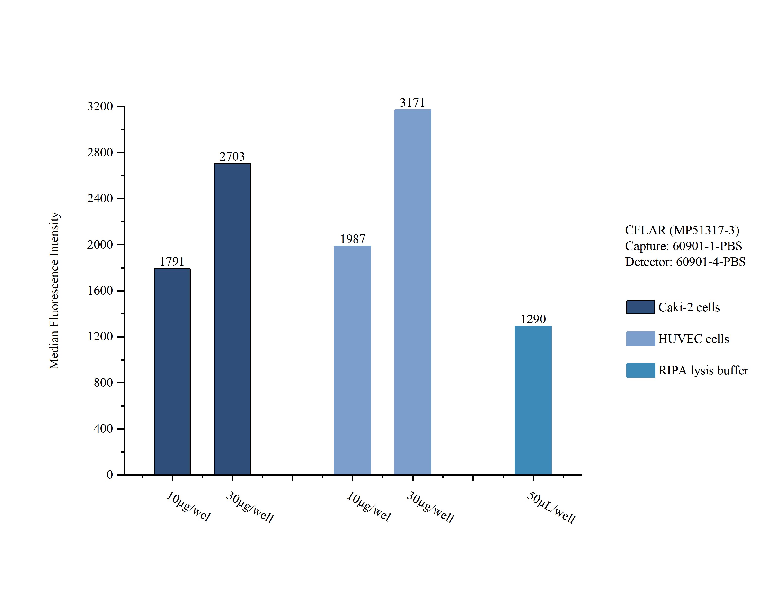 Sample test of MP51317-3, CFLAR Monoclonal Matched Antibody Pair, PBS Only. Capture antibody: 60901-1-PBS. Detection antibody: 60901-4-PBS. 