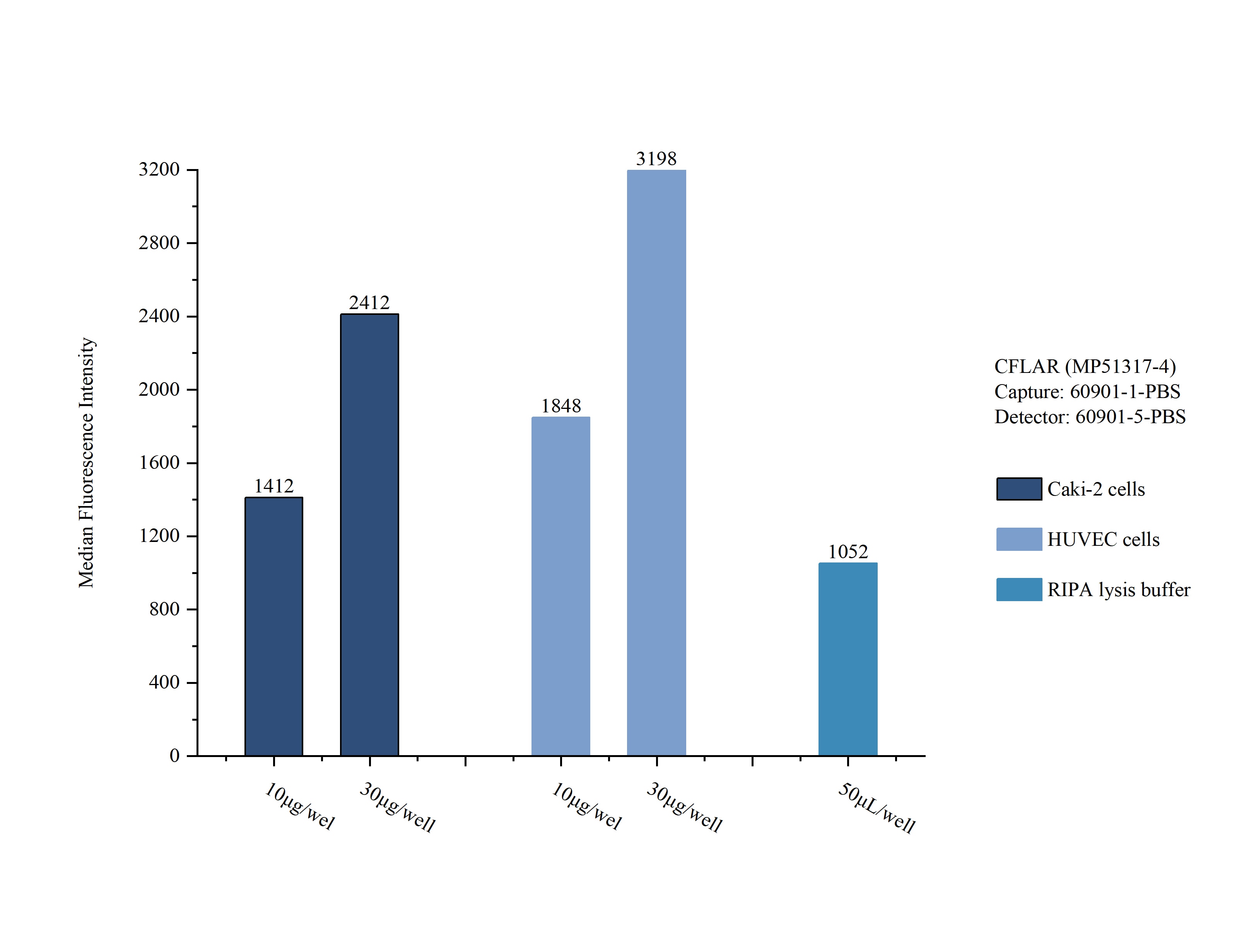 Sample test of MP51317-4, CFLAR Monoclonal Matched Antibody Pair, PBS Only. Capture antibody: 60901-1-PBS. Detection antibody: 60901-5-PBS. 