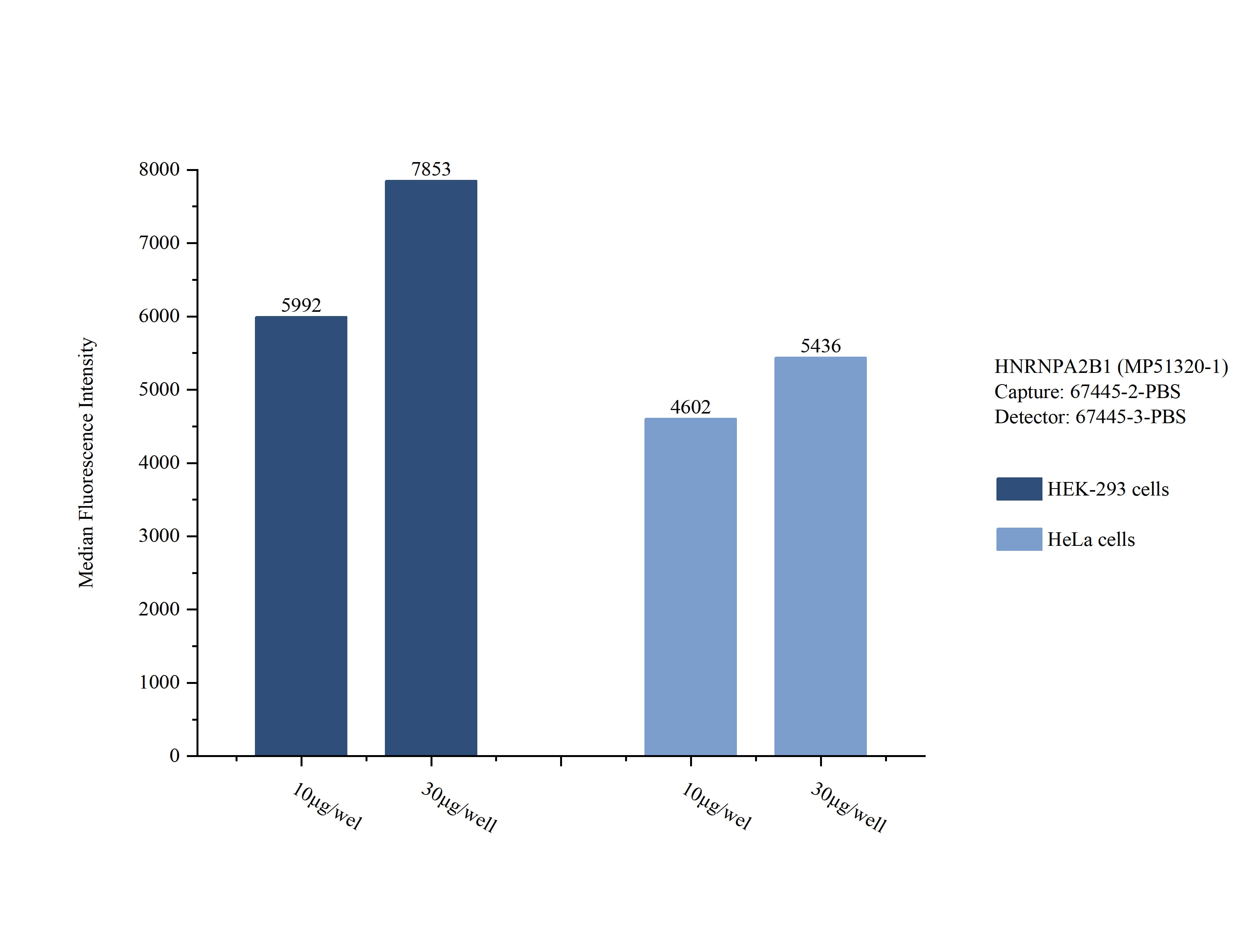 Sample test of MP51320-1, HNRNPA2B1 Monoclonal Matched Antibody Pair, PBS Only. Capture antibody: 67445-2-PBS. Detection antibody: 67445-3-PBS. 