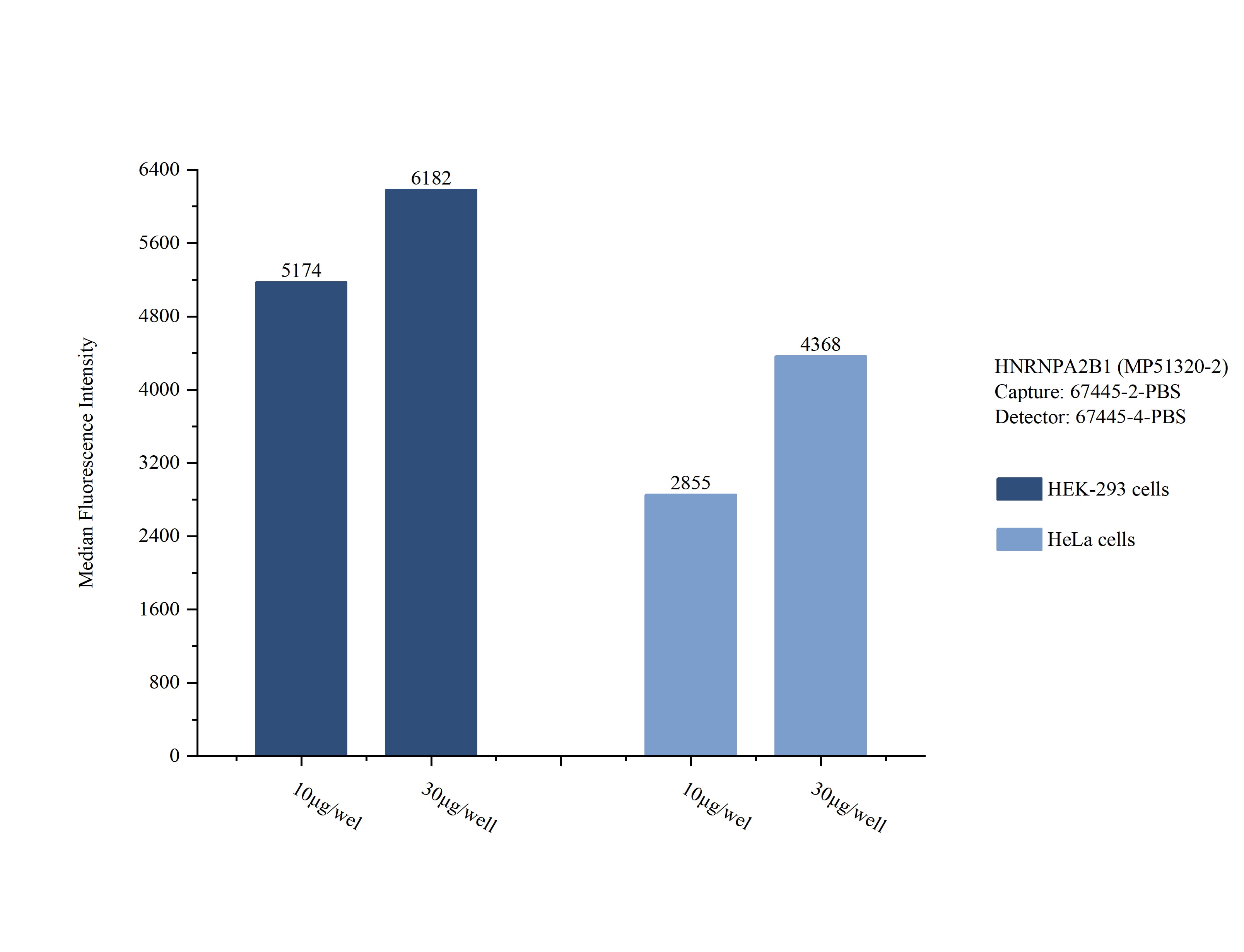 Sample test of MP51320-2, HNRNPA2B1 Monoclonal Matched Antibody Pair, PBS Only. Capture antibody: 67445-2-PBS. Detection antibody: 67445-4-PBS. 