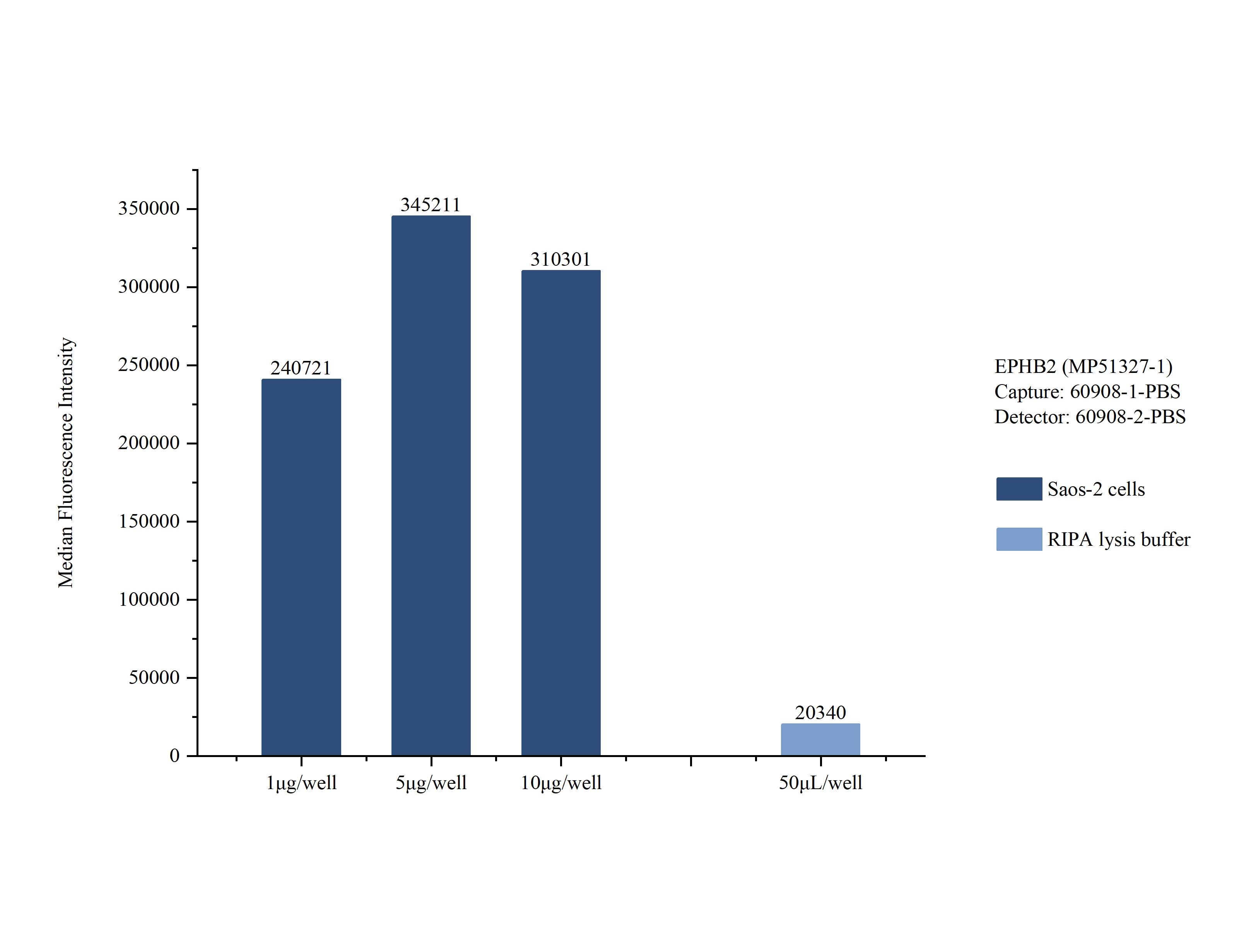 Sample test of MP51327-1, EPHB2 Monoclonal Matched Antibody Pair, PBS Only. Capture antibody: 60908-1-PBS. Detection antibody: 60908-2-PBS. 